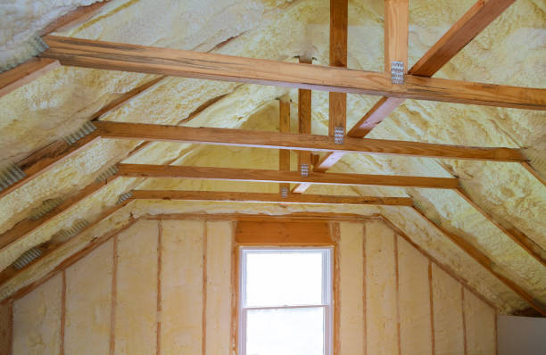 Best Insulation Replacement Services  in Colona, IL