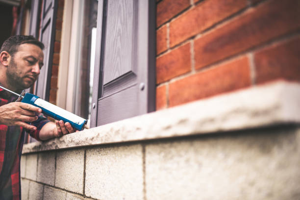 Best Affordable Insulation Services  in Colona, IL