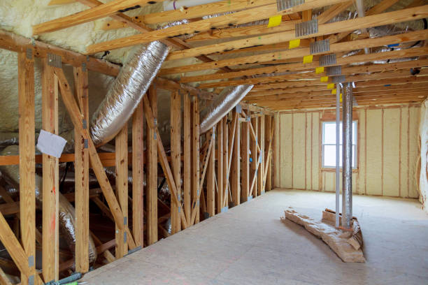 Best Spray Foam Insulation  in Colona, IL