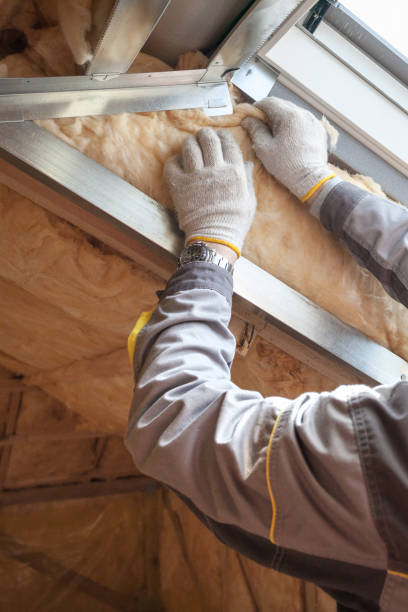 Best Insulation Repair Services  in Colona, IL