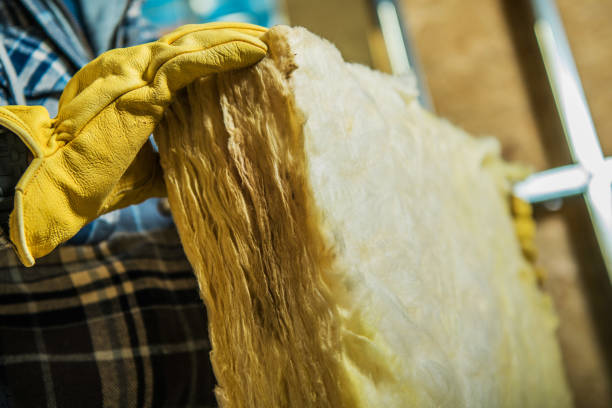 Best Home Insulation Services  in Colona, IL
