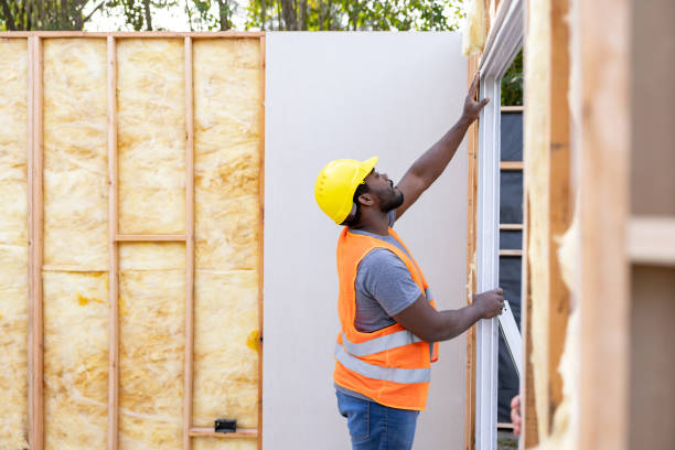 Best Blown-in Insulation  in Colona, IL