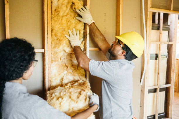 Best Cellulose Insulation  in Colona, IL