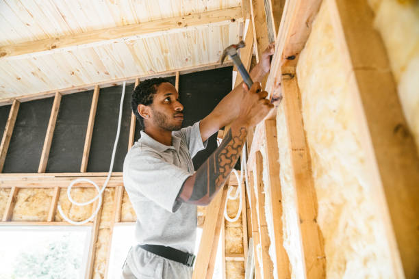 Best Professional Insulation Contractor  in Colona, IL