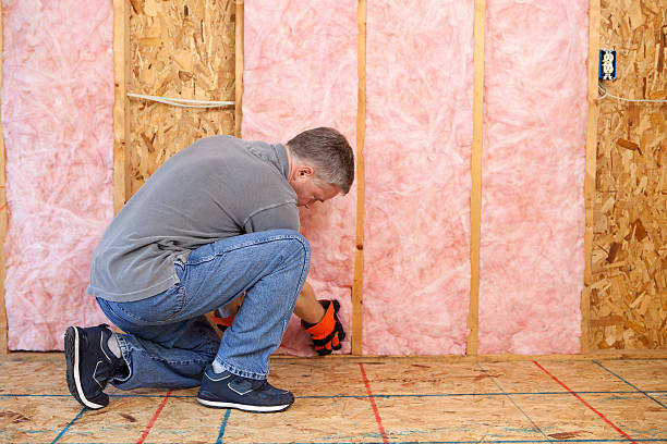 Best Insulation Replacement Services  in Colona, IL
