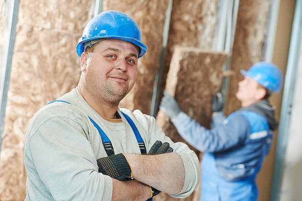 Best Insulation Removal  in Colona, IL