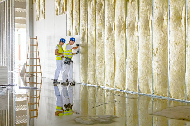Best Best Insulation Companies  in Colona, IL